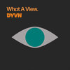 DYVN、Rudy Raw - Coastal Drift