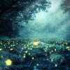 八云轨 - Echo Forest