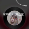 皮皮 - 今夜你会不会想起我 (网红版)