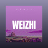 陌少 - 污水塘 (Remix)