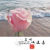 韩小磊 - 三世逍遥叹