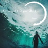 Papillon - To succeed (Orginal Mix)