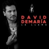 david demaria - La llama