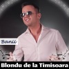 Blondu de la Timisoara《Banii》[MP3/LRC]