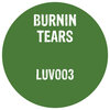 Burnin Tears - Got A Reason