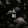 八妹、可可 - 无法逃避的痛 (DJ版)
