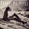 Zeal《Peace Be Still (Acoustic Version)》[MP3/LRC]