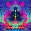 Club de Méditer de Détendre - Ouverture des chakras