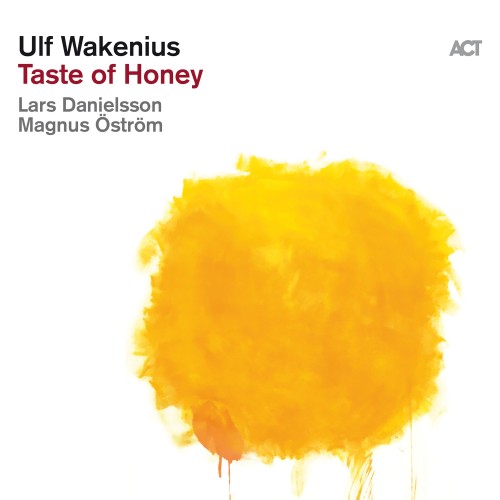 Ulf Wakenius、Lars Danielsson、Magnus Öström - Blackbird