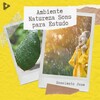 Sonolento Jose - El ruido ambienteal definitiva