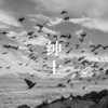 八爷、DJ胖虎 - 难念的经 (DJ版)