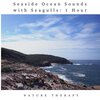 Nature Therapy - Seaside Ocean Sounds with Seagulls: One Hour
