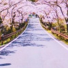 我不是木子er - 杏花路