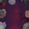 Songbirds、Michael Kennedy、リラックスマッサージ、Nowhere Now、Rose Tides - Wildfire River