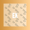神秘人 - Exodus (Remix)