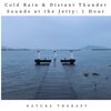 Nature Therapy - Cold Rain & Distant Thunder Sounds at the Jetty: One Hour