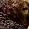 Simon Critchley、John William Simmons、Critchley & Simmons - Patmos (The Octopus Eye Song)