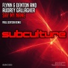 Flynn & Denton、Audrey Gallagher《Say My Name (Paul Denton Remix)》[MP3/LRC]