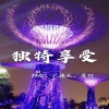 孔德威吖、灰猫、祁念 - 半夜,夜店走起 (DJ版)