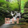 廖于友 - 绿色天堂