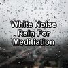 Sleep Sounds、Sleep Sound Library、Thunderstorm Sleep - Summer Rain To Help with Insomnia Calm Instrumental Sounds