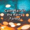 Rain Sounds、Rain for Deep Sleep、Rain - Cozy Rain Droplets Loopable for 20 Hours