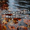 Rain Sounds for Sleep、Music for Sleep、Deep Sleep Relaxation - Gutter Rain For Quiet Nights in the Evening