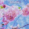 the real ok boomer、Enlia、Pete Rivett-Carnac - Falling
