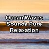 Calm Music for Studying、Calm Music、Intense Calm - Calming Waves Soothing Sounds Instant Deep Sleep