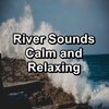 Nature Sounds Nature Music、Nature Sound Collection - Peaceful Sea Calm and RelaxingTo Help your Baby Rest and Sleep