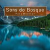 Meditação Música Ambiente - Sons da Natureza para Meditar, Pt. 01
