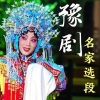 群星 - 第01集_豫剧名家名段