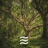 Enjoyful Rain Noise - Enjoyful Sleepful Relaxing Rain