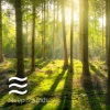 Smooth Rain Sounds - Smooth Calming Raining
