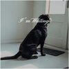Soundelicious - Floating Alt