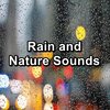 Sleep Sound Library、Sleep Sounds、Thunderstorm Sleep - Cozy Rain with Thunder and White Noise For Babies to Relax and Rest