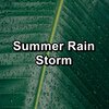 Nature and Rain、Meditation Rain Sounds、Relaxing Rain Sounds - Medium Rain in the Rainy Forest Loopable for 20 Hours