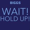 Biggs - Wait! Hold Up! (Explicit)