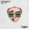David Perez - The Flow