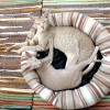 Music For Cats、Cat Music、Pet Care Club - A Time and a Place