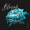 DJ Skylight - Blossom