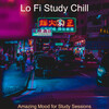 Lo Fi Study Chill - Music for Study Sessions