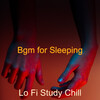 Lo Fi Study Chill - Music for Study Sessions