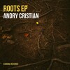 Andry Cristian - Roots