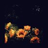 Eli Kelley - For Audrey