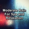 Rain Radiance、Rain Sounds Sleep、Relaxing Rain - Soft Rain with Thunder and White Noise To Help You Sleep