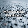 Thunderstorms、Rain Sounds、Thunder Sounds、Thunder Storm - Soothing Rain Droplets To Help You Take A Nap