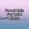 Deep Sleep、Sleep Baby Sleep、Nature’s Music - Distant Rain For Spa and Relaxation To Repeat for 24 Hours
