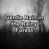 Sleep Tribe、Baby Sleep Music、Deep Sleep Music Experience - Summer Rain For Peace To Relax and Loop for 8 Hours