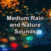 Deep Sleep Meditation、White Noise Baby Sleep、Asmr - Heavy Rain and Nature Sounds in the Night
